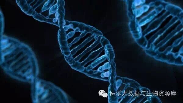 QQ图片20160830152951