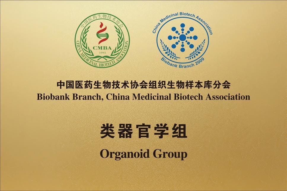 类器官学组(1)